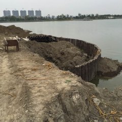 泰州药城生态湖